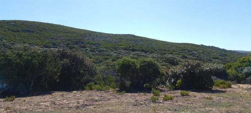 0 Bedroom Property for Sale in Gouritsmond Western Cape